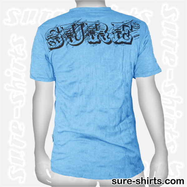 Buddha in Temple - Light Blue Tee size M