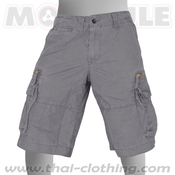 Cruiser Molecule Shorts Grey Cargo Pants