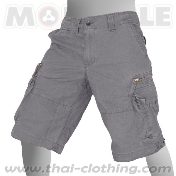 Molecule Pants Cruiser Grey Cargo Shorts