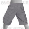 Molecule Pants Cruiser Grey Cargo Shorts