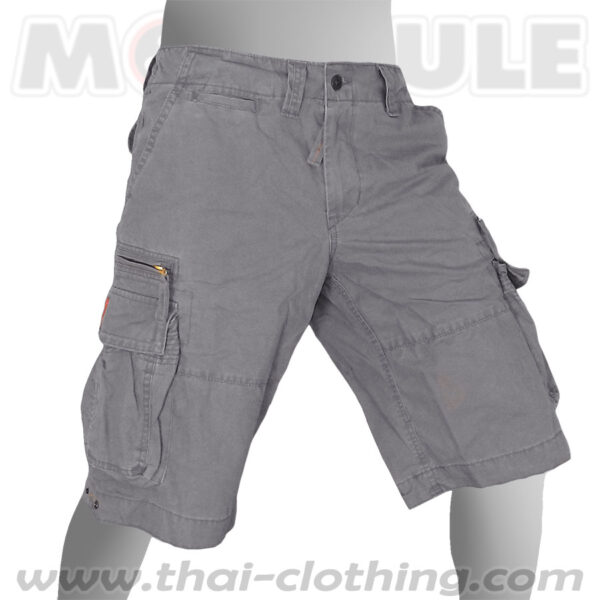 Molecule Pants Cruiser Grey Cargo Shorts