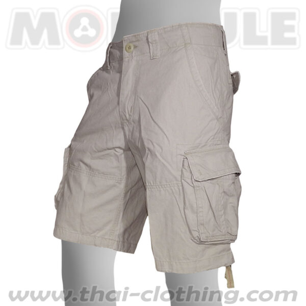 Molecule Pants Explorer Khaki Cream Cargo Shorts