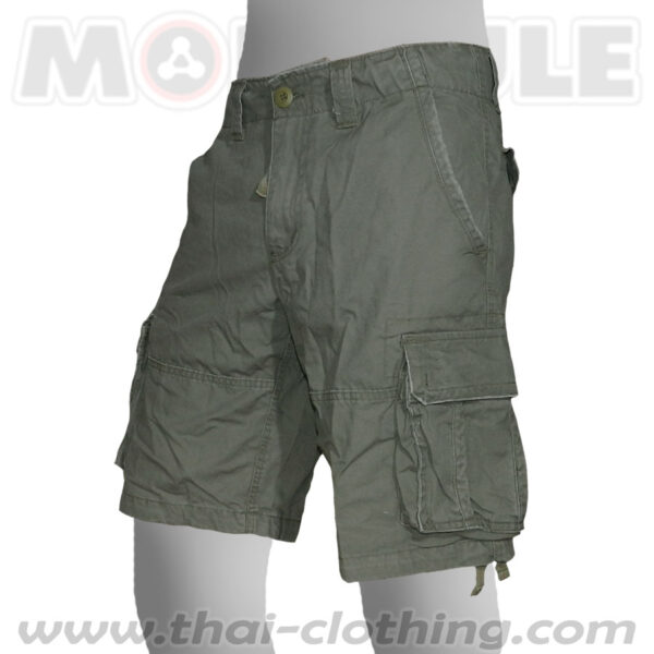 Molecule Pants Explorer Green Cargo Shorts